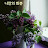 @user-sp1ho6qd1l