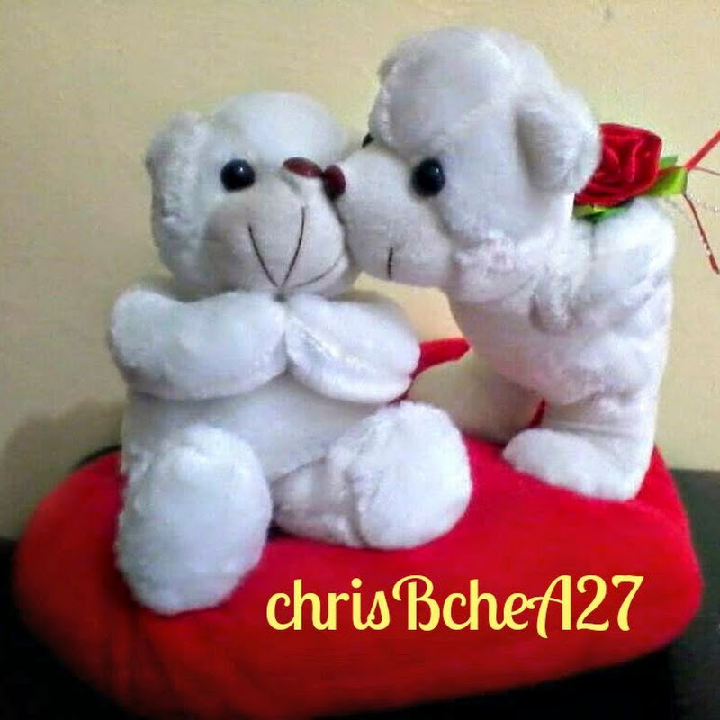 chrisBcheA27 DIY icon