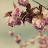 @칼리-p4v