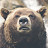 @mr_bear_uncle