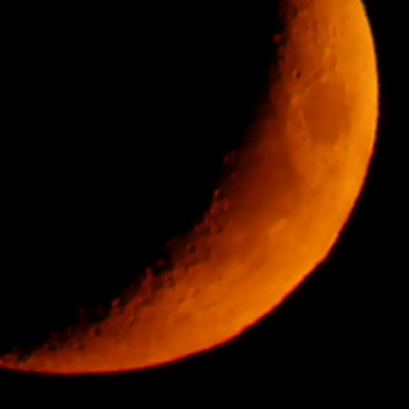 Moon