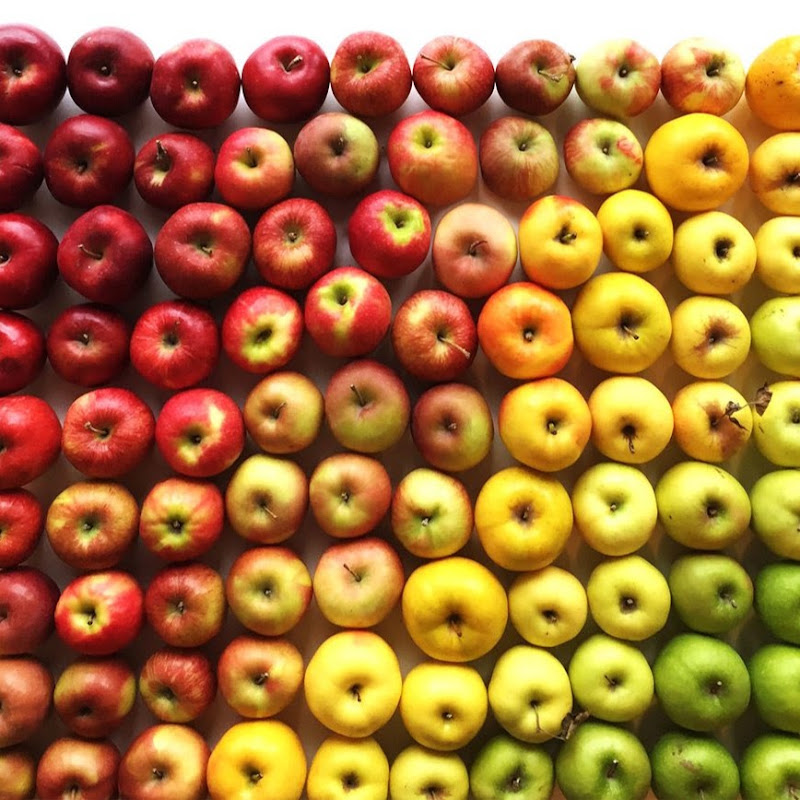 Oddly Satisfying Videos