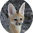 52HKSwkI1hs-channel-avatar-Christopher Roy