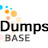 Online Dumps