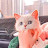 @reemshweel8273