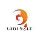 Gidi Sole Ltd. logo