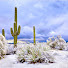 zqdtZo-PxjA-channel-avatar-Desertsnow