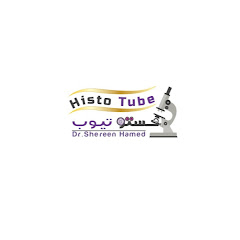 HistoTube dr.Shereen Hamed Avatar