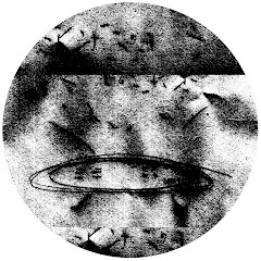 Bailterspace