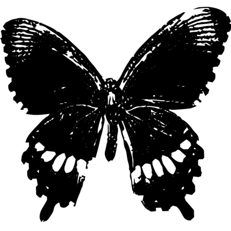 Morbidly Beautiful