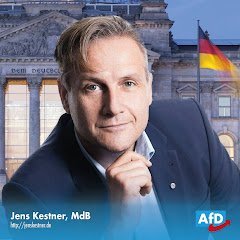 Jens Kestner, MdB