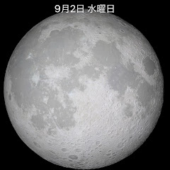名前ない
