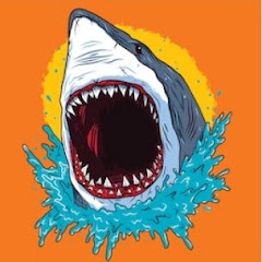Shark Attack