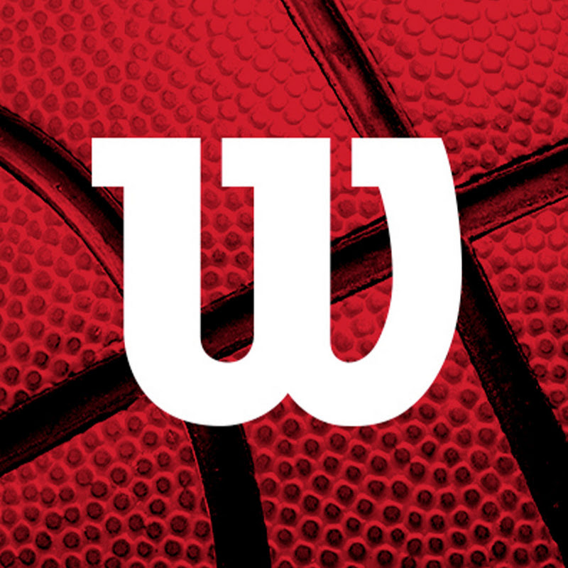 Wilson Basketball