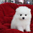 @user-jv8pr6mh6d