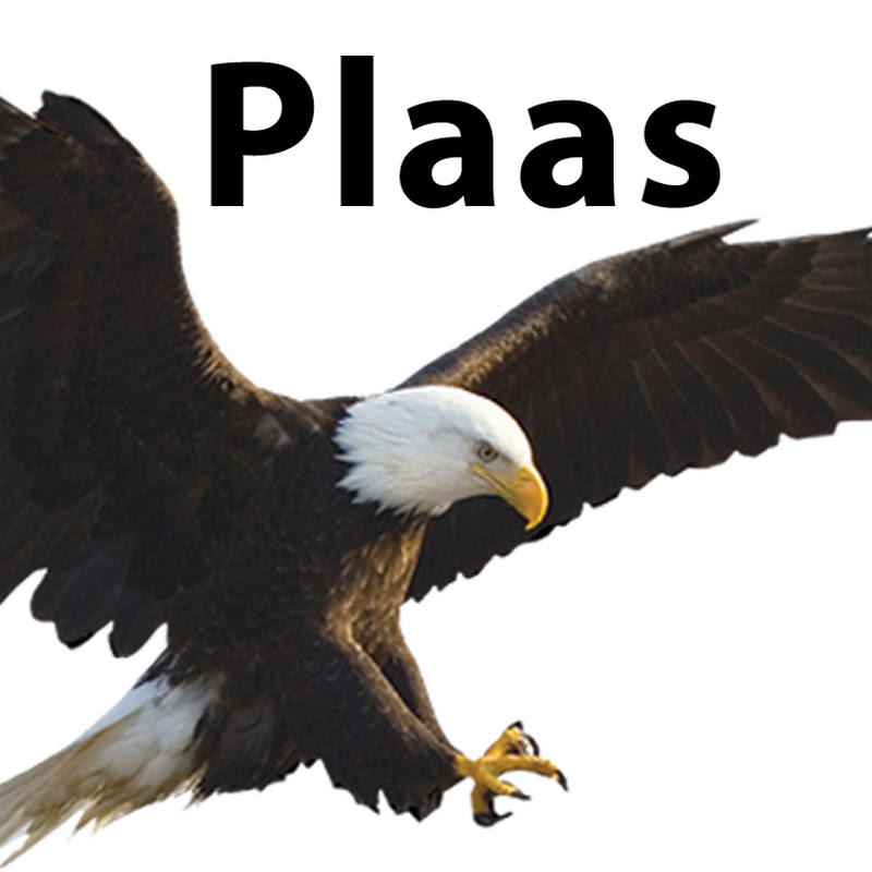 Plaas Incorporated