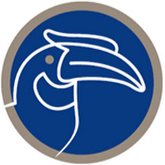 CALAO FINANCE