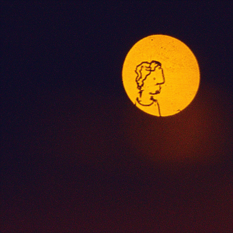 David Nimmersatt icon