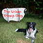 The Urban Sheep Dog logo