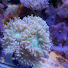 bGKHfWVwlkQ-channel-avatar-Build an Aquarium Workshop