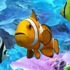 モッチャン55