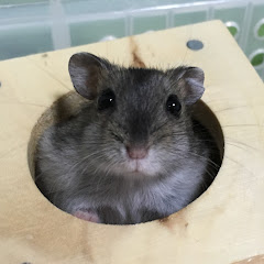 YASUKICHI