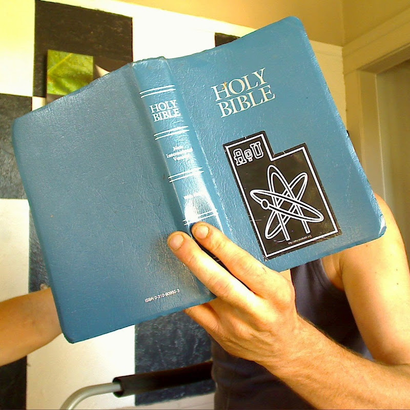 TheBiblebyANAtheist icon