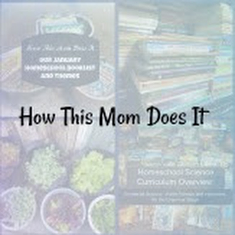 How This Mom Does It