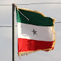 Somaliland Power logo