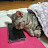 @김성종-c1q