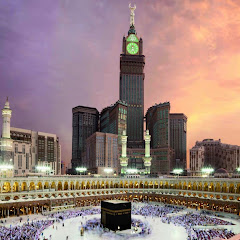 Saeb
