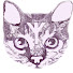 b1983SB3sCc-channel-avatar-xBrutalYouth666x