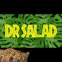 Dr Salad logo