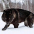 VUTFJu18Puw-channel-avatar-FCM 77