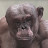 @busyak's avatar