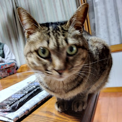 フー
