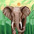 @vnky2020 Avatar