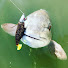 qTy__QbFzhA-channel-avatar-SC Fish Tales