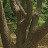 @배배상호-x5t