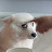 @희희-v1o