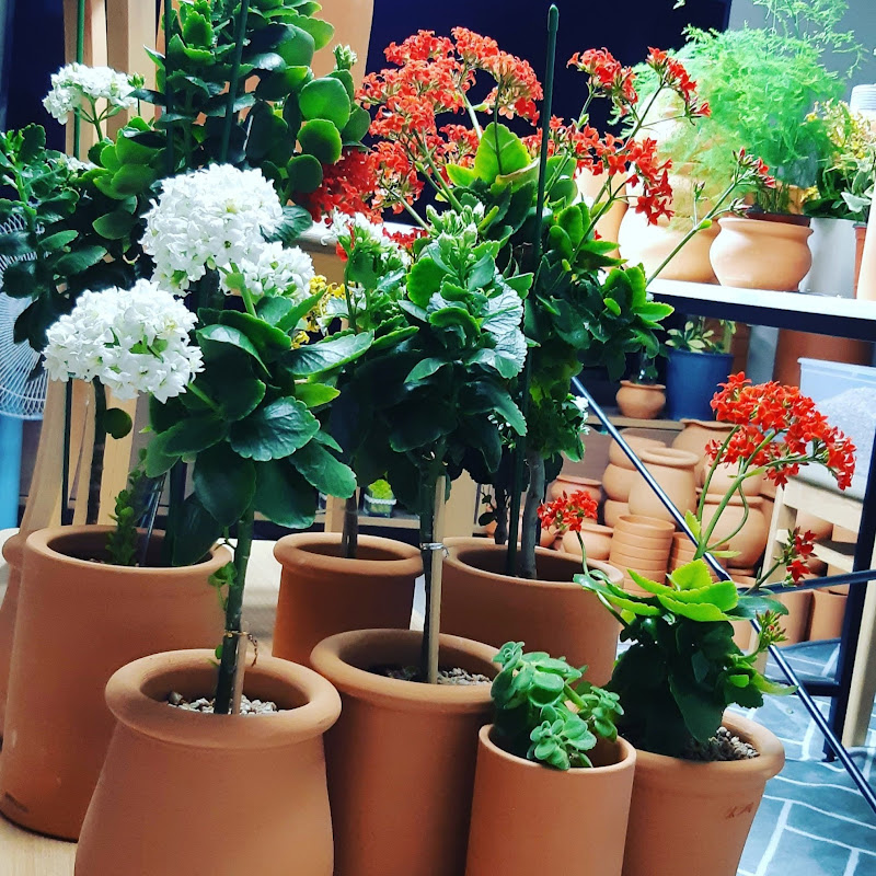 금란의정원 Logo