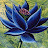 @iopenmtgstuff253