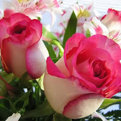 ROSA LINDA