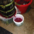 Dj8L_F0OUTc-channel-avatar-Urbane Vintner