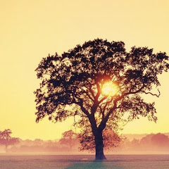 Kimsunchee Production庚申子 製作室アイコン画像