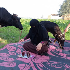 حياة أهل الريف 3 avatar