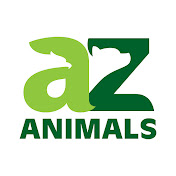 A-Z-Animals