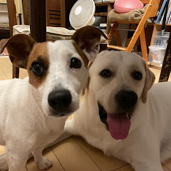 ハッセルブラッドアイコン画像