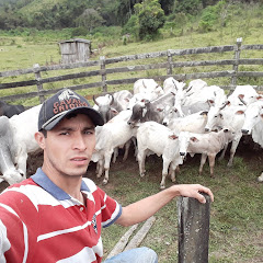 Sítio vs Cidade com Gilson Cordeiro avatar