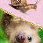 Fuzzy Sloth and Slimy Snail logo